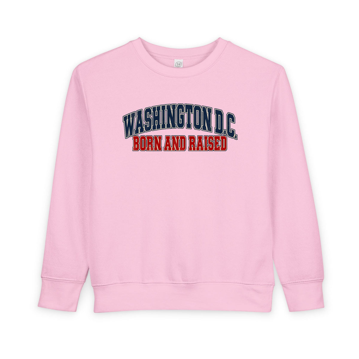 Washington DC Born and Raised Classic Collegiate Unisex Toddler Sweatshirt