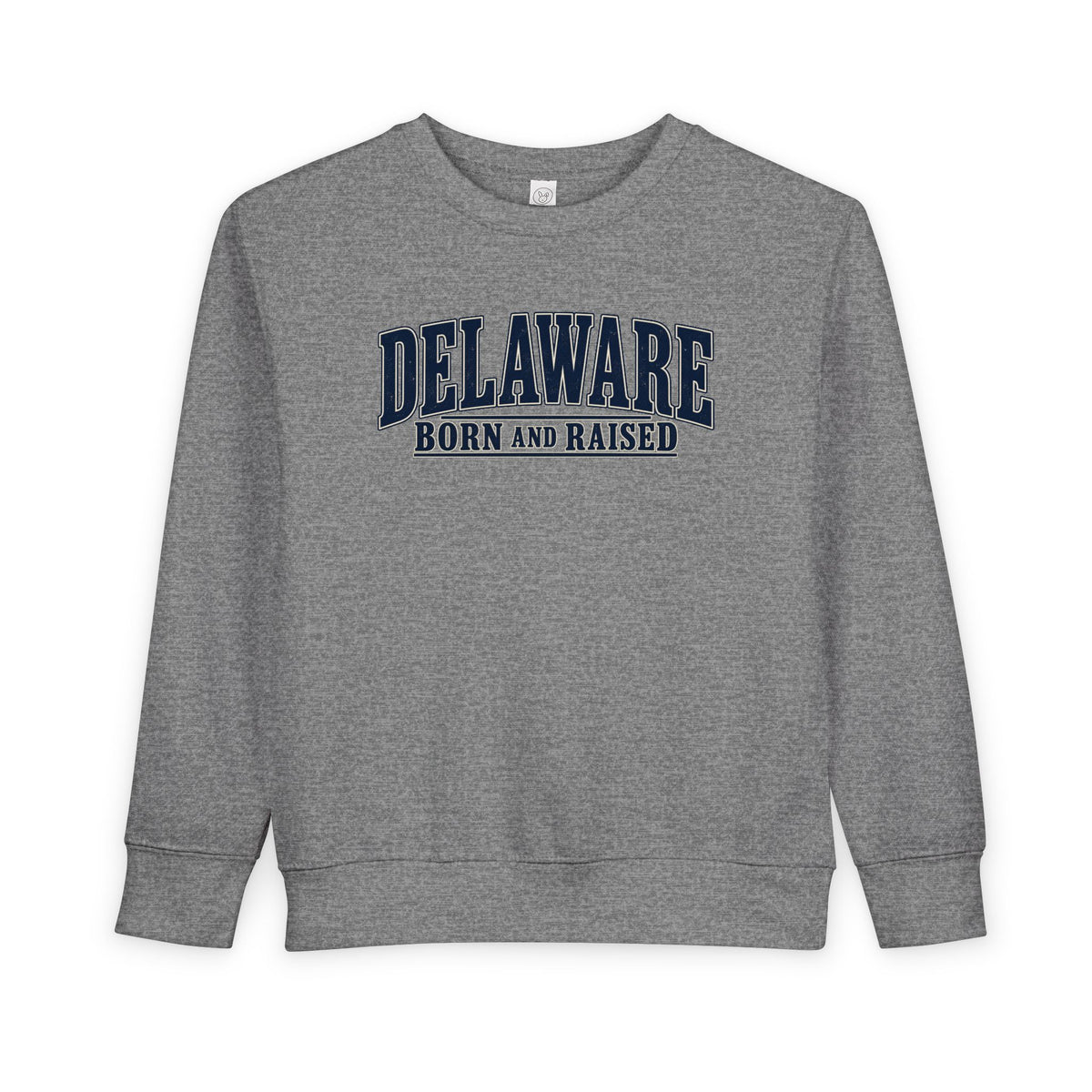 Delaware Born and Raised Luxury Vintage Unisex Toddler Sweatshirt