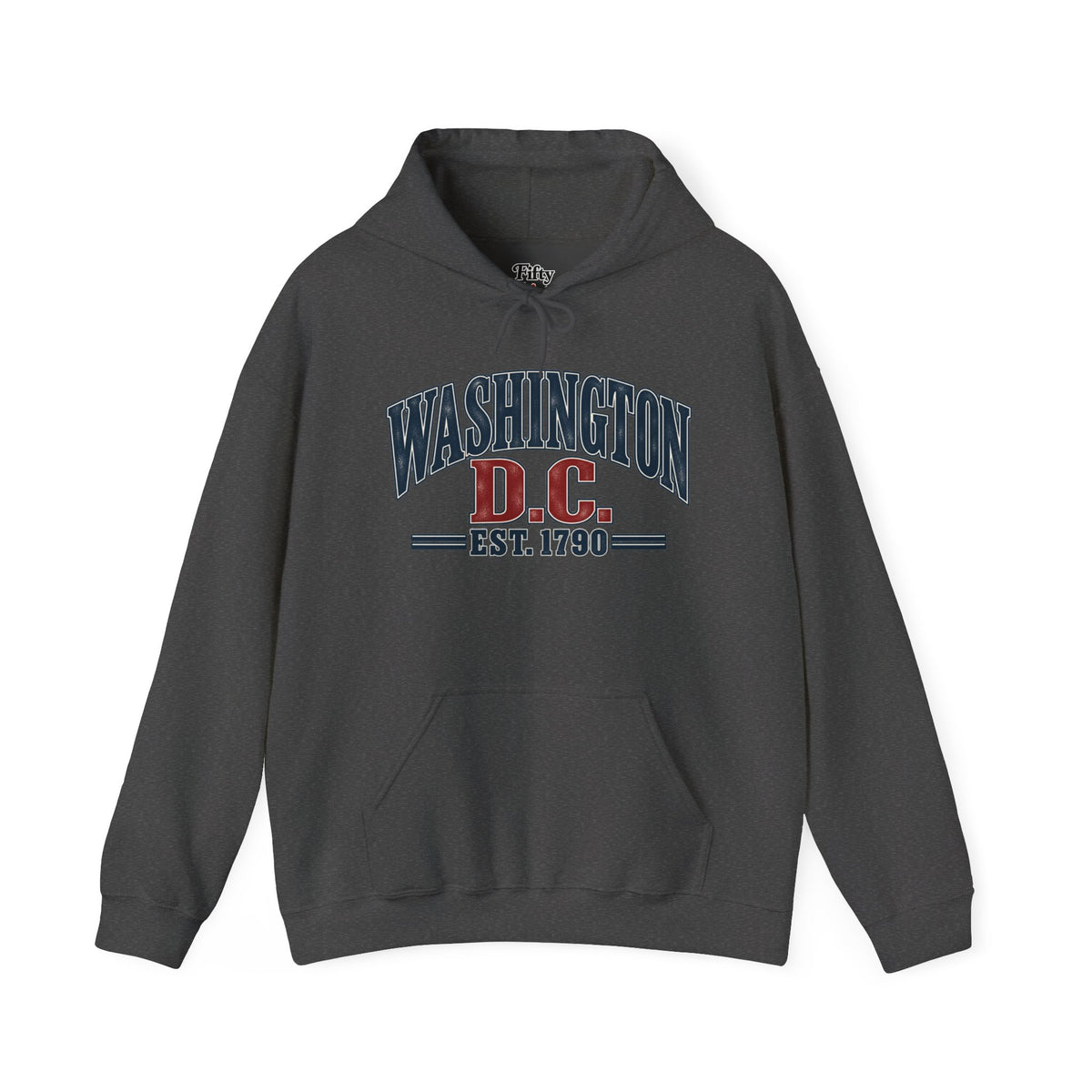 Washington DC Est 1790 Unisex Hoodie State Name Graphic