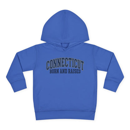Connecticut Born and Raised Vintage Athletic Heritage Unisex Toddler Pullover Fleece Hoodie