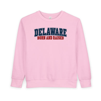 Delaware Born and Raised Vintage Collegiate Unisex Toddler Sweatshirt