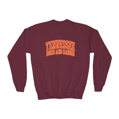 Tennessee Born and Raised Southern Collegiate Unisex Youth Crewneck Sweatshirt Graphic