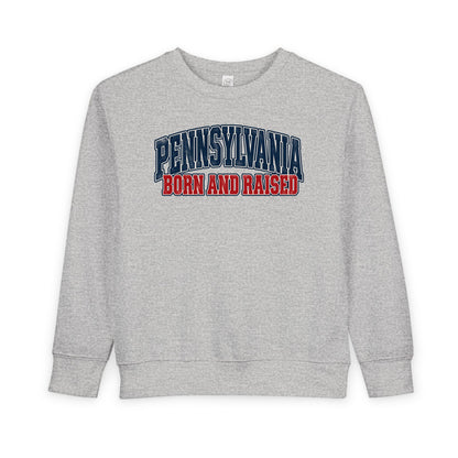Pennsylvania Born and Raised Vintage Collegiate Unisex Toddler Sweatshirt