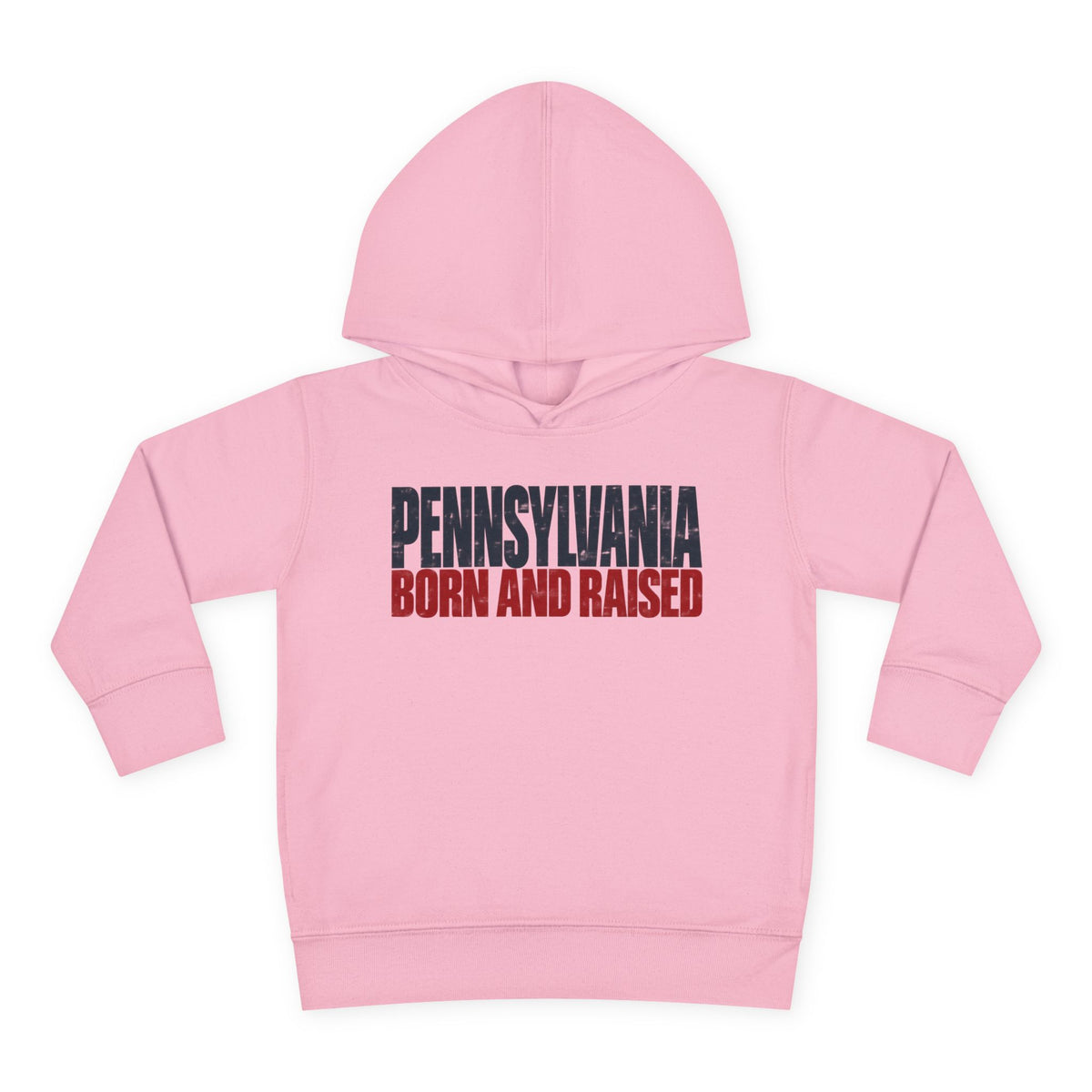 Pennsylvania Born and Raised Northeast Streetwear Unisex Toddler Pullover Fleece Hoodie
