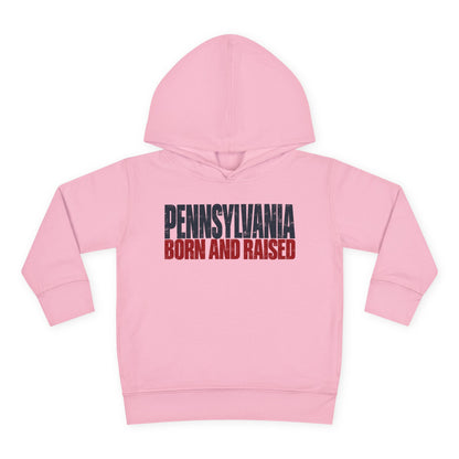 Pennsylvania Born and Raised Northeast Streetwear Unisex Toddler Pullover Fleece Hoodie