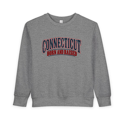 Connecticut Born and Raised Classic Souvenir Unisex Toddler Sweatshirt