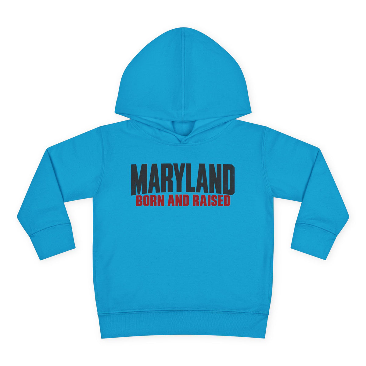 Maryland Born and Raised Modern Unisex Toddler Pullover Fleece Hoodie