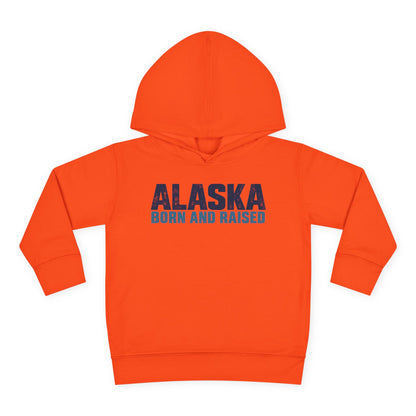 Alaska Born and Raised Modern Streetwear Unisex Toddler Pullover Fleece Hoodie