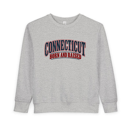 Connecticut Born and Raised Classic Souvenir Unisex Toddler Sweatshirt