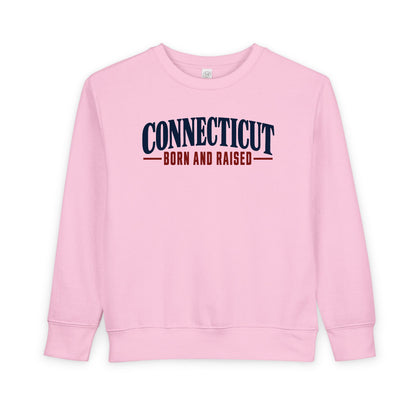 Connecticut Born and Raised Classic New England Unisex Toddler Sweatshirt