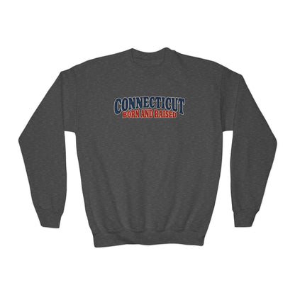 Connecticut Born and Raised 1970s Americana Unisex Youth Crewneck Sweatshirt