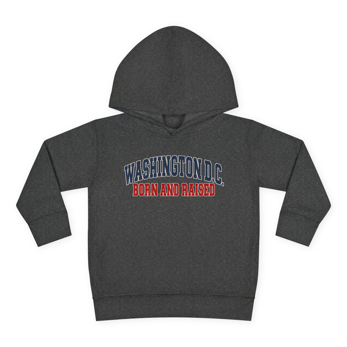 Washington DC Born and Raised Classic Collegiate Unisex Toddler Pullover Fleece Hoodie