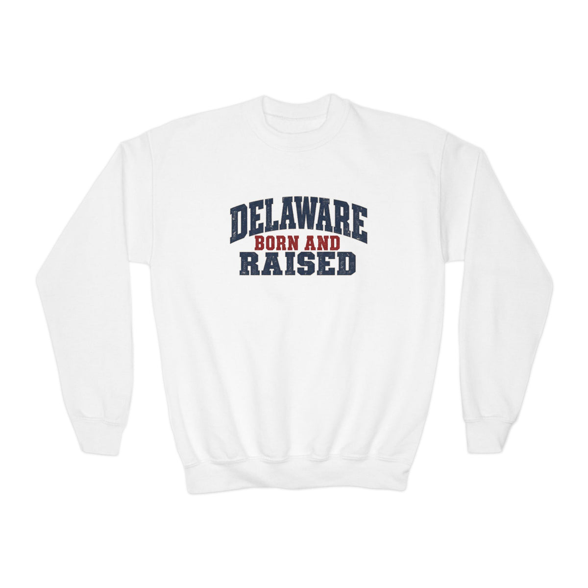 Delaware Born and Raised Rustic Heritage Unisex Youth Crewneck Sweatshirt Graphic