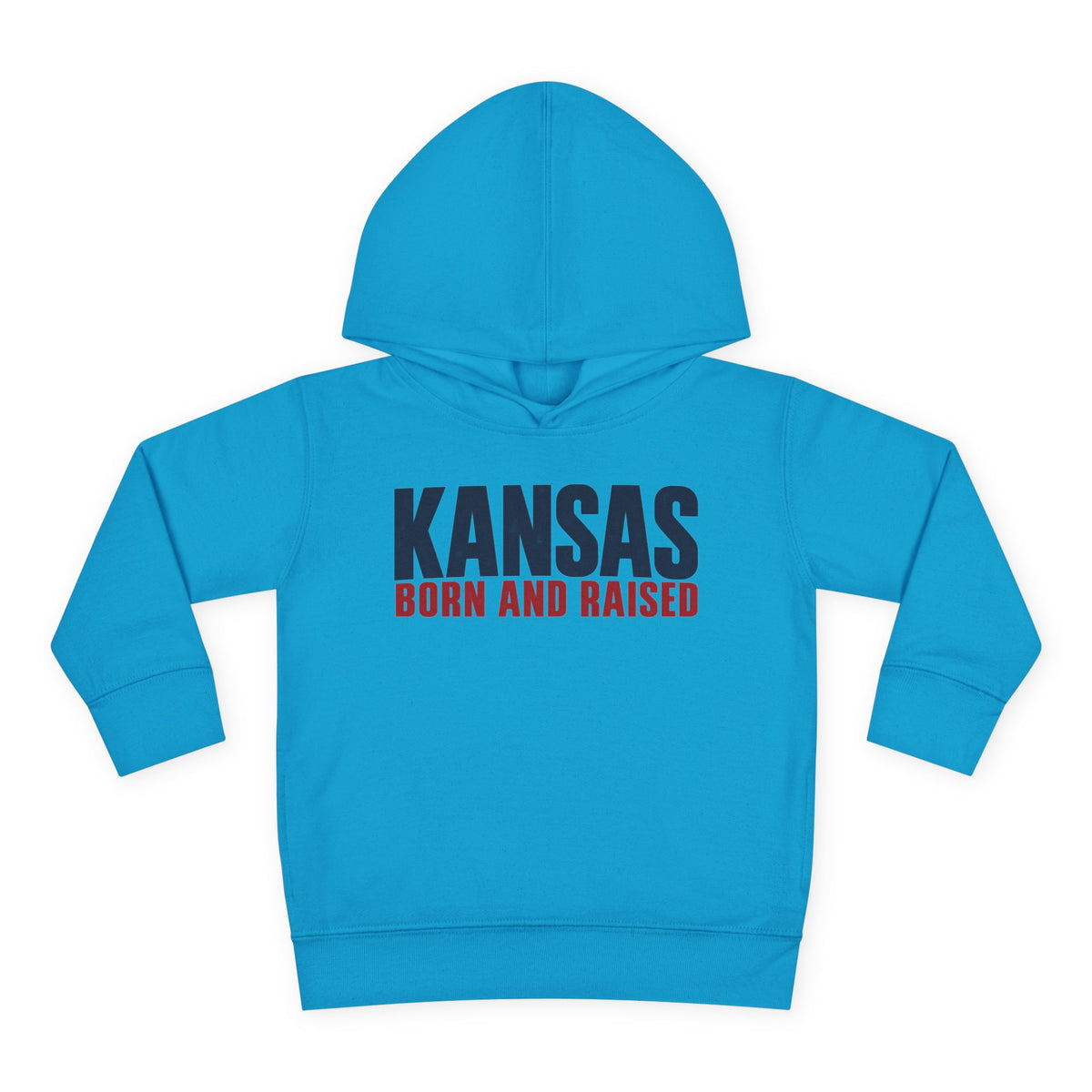 Kansas Born and Raised Modern Heritage Unisex Toddler Pullover Fleece Hoodie
