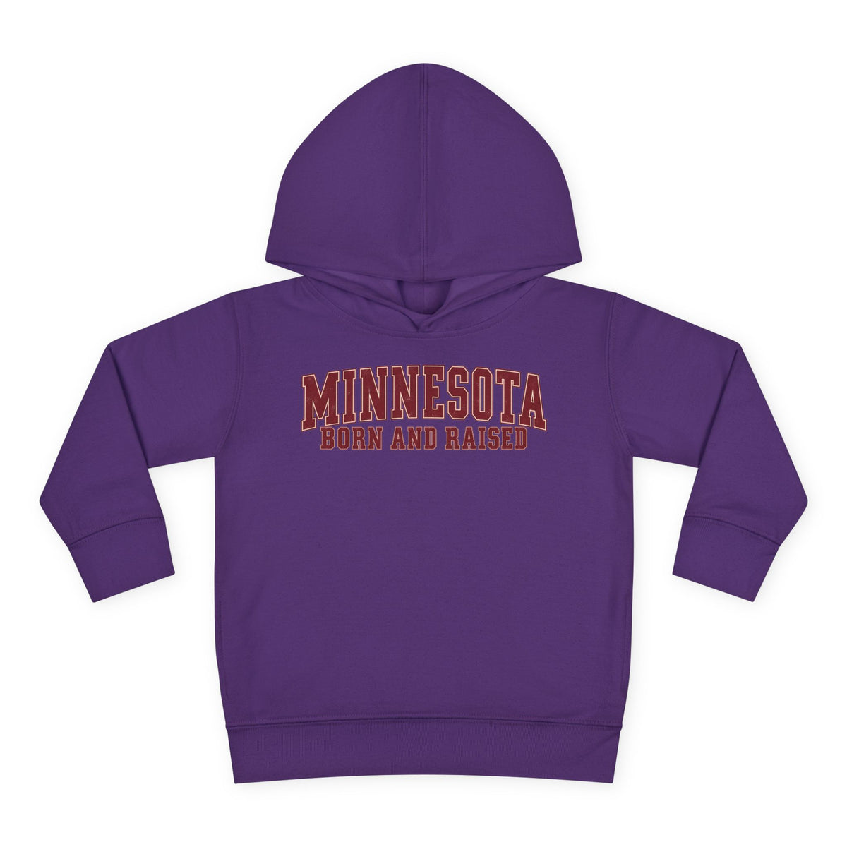 Minnesota Born and Raised Vintage Collegiate Unisex Toddler Pullover Fleece Hoodie