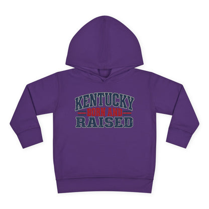 Kentucky Born and Raised Southern Heritage Unisex Toddler Pullover Fleece Hoodie