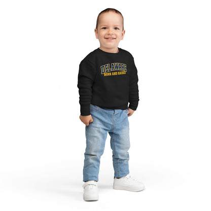 Delaware Born and Raised Old-School Athletic Unisex Toddler Sweatshirt
