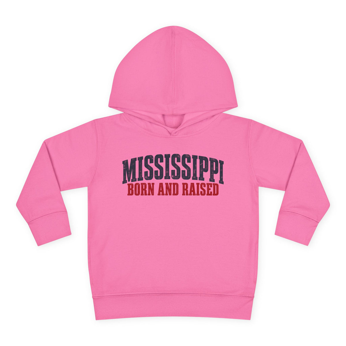 Mississippi Born and Raised Minimal Vintage Unisex Toddler Pullover Fleece Hoodie
