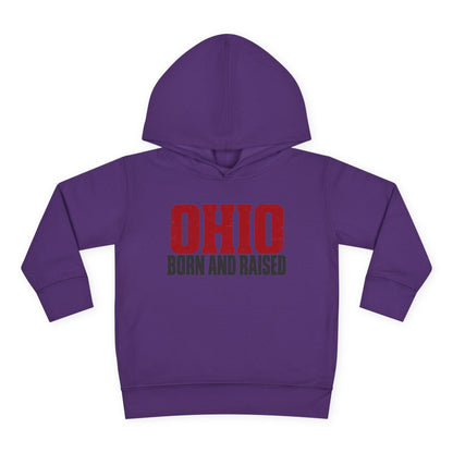 Ohio Born and Raised Minimal Heritage Unisex Toddler Pullover Fleece Hoodie