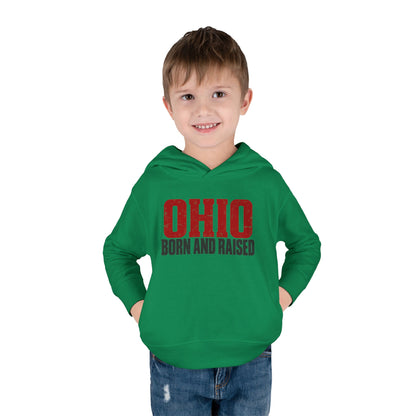Ohio Born and Raised Minimal Heritage Unisex Toddler Pullover Fleece Hoodie
