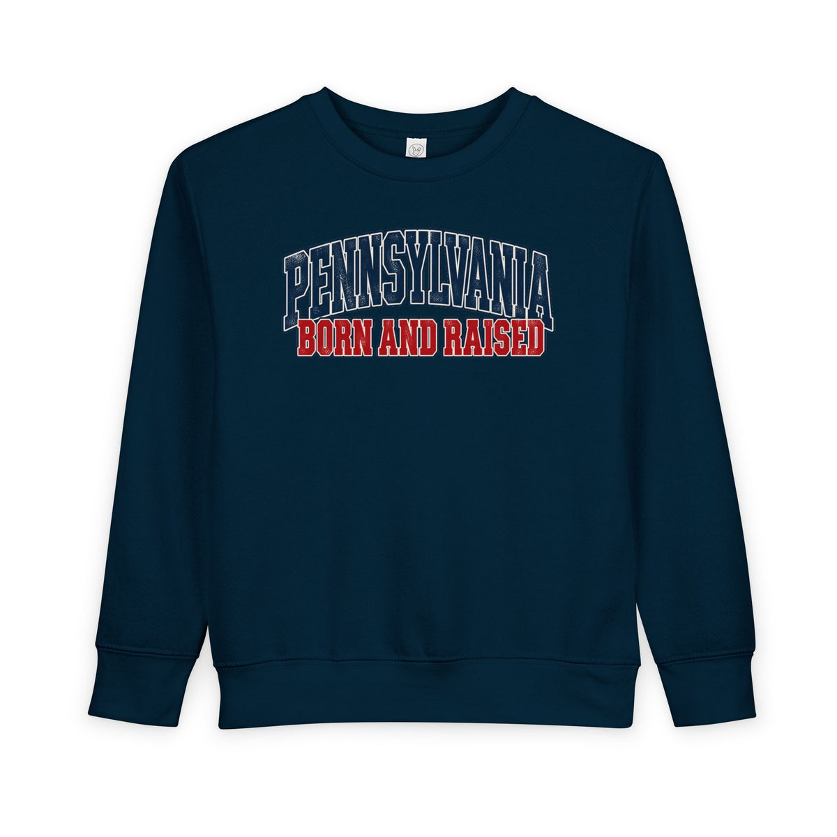 Pennsylvania Born and Raised Vintage Collegiate Unisex Toddler Sweatshirt