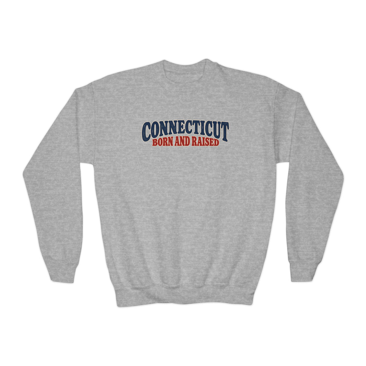 Connecticut Born and Raised 1970s Americana Unisex Youth Crewneck Sweatshirt
