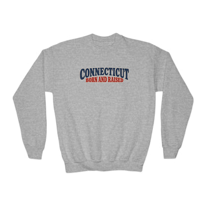 Connecticut Born and Raised 1970s Americana Unisex Youth Crewneck Sweatshirt