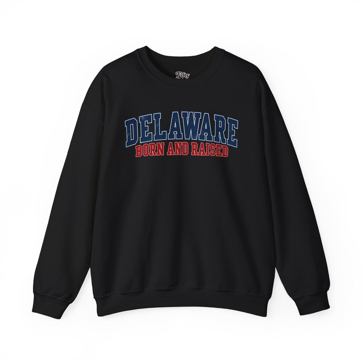 Delaware Born and Raised Vintage Collegiate Unisex Sweatshirt Graphic