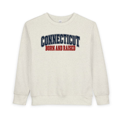 Connecticut Born and Raised Retro Collegiate Unisex Toddler Sweatshirt