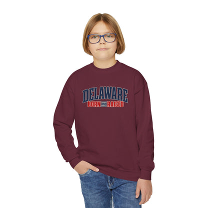 Delaware Born and Raised East Coast Streetwear Unisex Youth Crewneck Sweatshirt Graphic