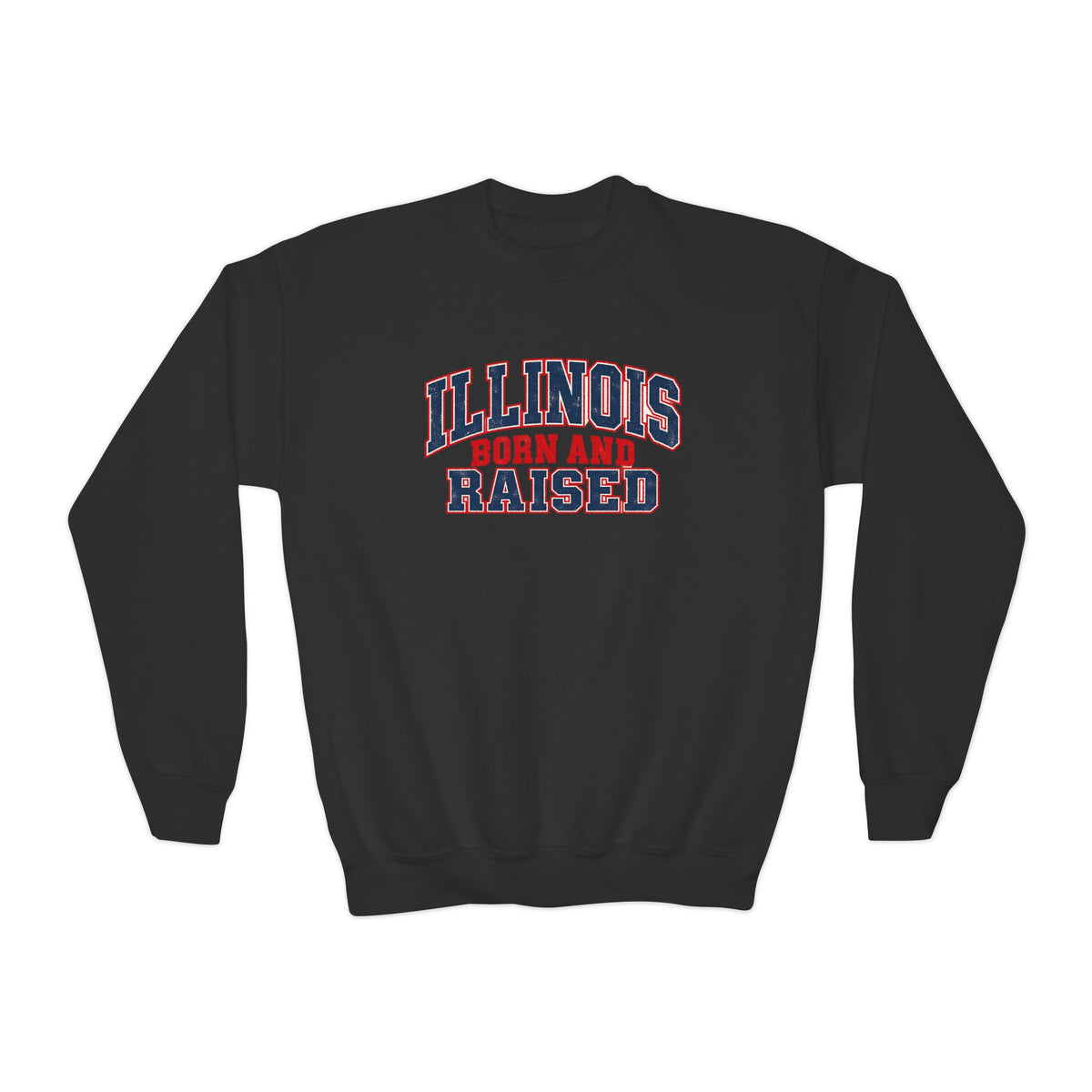 Illinois Born and Raised Vintage Collegiate Unisex Youth Crewneck Sweatshirt Graphic