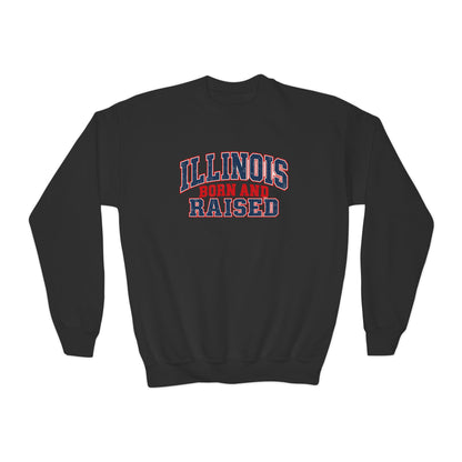 Illinois Born and Raised Vintage Collegiate Unisex Youth Crewneck Sweatshirt Graphic