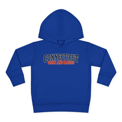 Connecticut Born and Raised 1970s Americana Unisex Toddler Pullover Fleece Hoodie