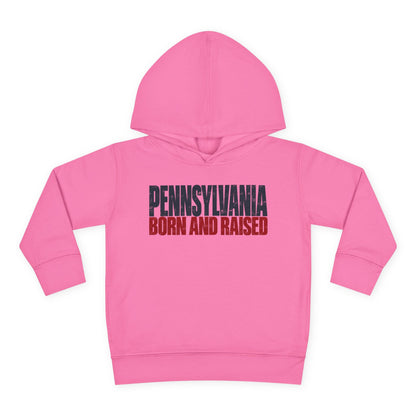 Pennsylvania Born and Raised Northeast Streetwear Unisex Toddler Pullover Fleece Hoodie