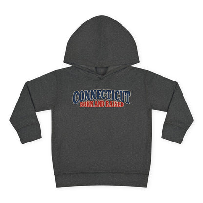 Connecticut Born and Raised 1970s Americana Unisex Toddler Pullover Fleece Hoodie