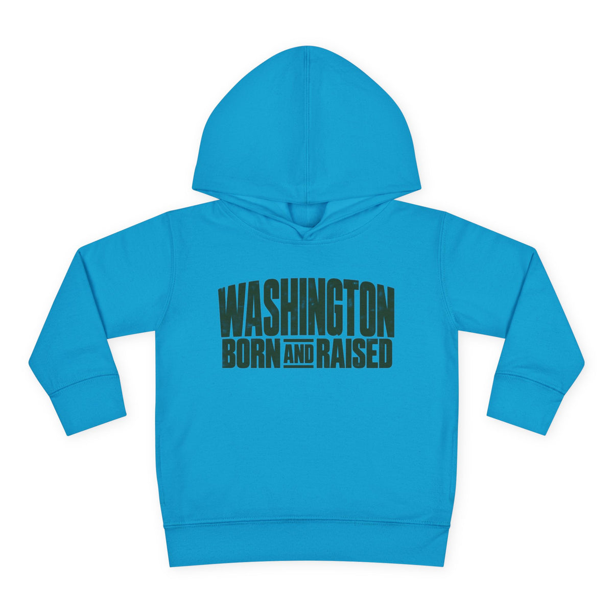 Washington Born and Raised Bold Streetwear Unisex Toddler Pullover Fleece Hoodie