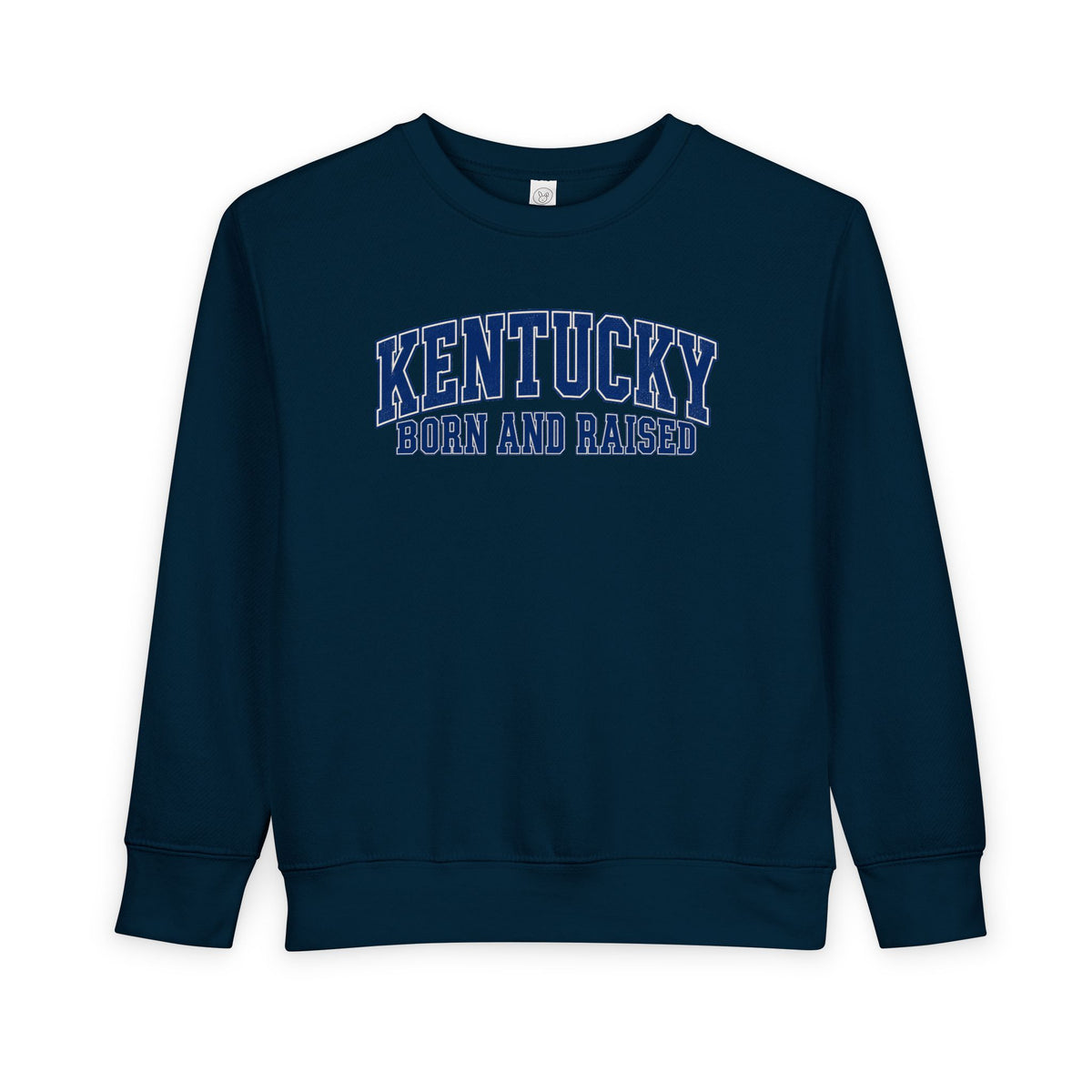Kentucky Born and Raised Classic Collegiate Unisex Toddler Sweatshirt
