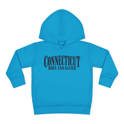 Connecticut Born and Raised Luxury Heritage Unisex Toddler Pullover Fleece Hoodie