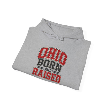 Ohio Born And Raised Unisex Hoodie State Name Graphic
