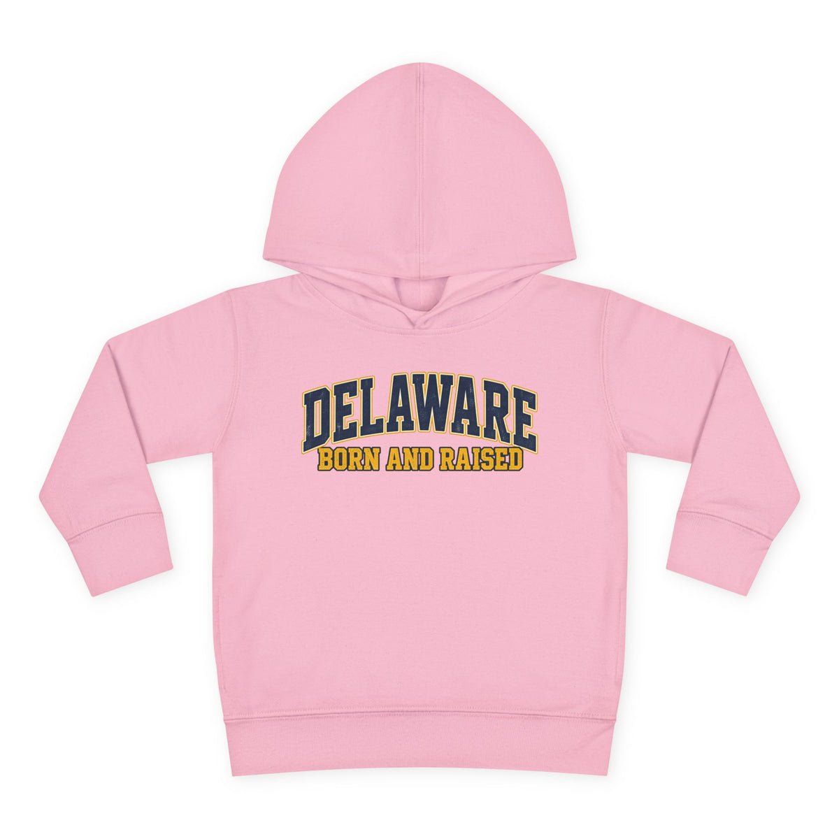 Delaware Born and Raised Old-School Athletic Unisex Toddler Pullover Fleece Hoodie