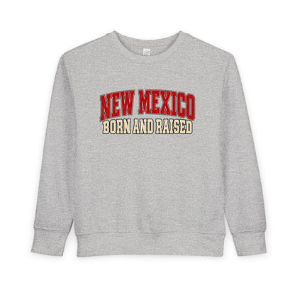 New Mexico Born and Raised Retro Collegiate Unisex Toddler Sweatshirt