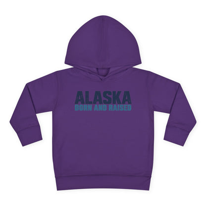 Alaska Born and Raised Modern Streetwear Unisex Toddler Pullover Fleece Hoodie