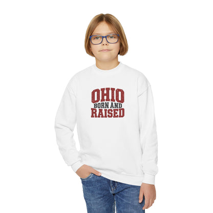 Ohio Born and Raised Midwest Heritage Unisex Youth Crewneck Sweatshirt Graphic