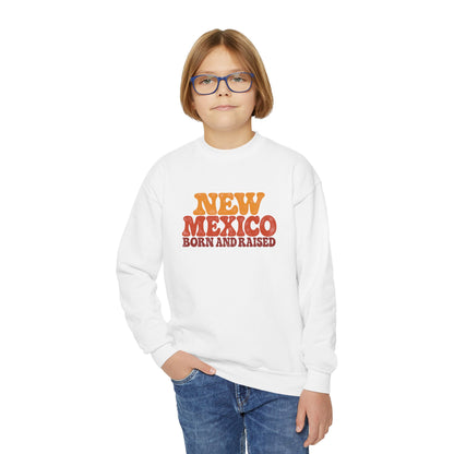 New Mexico Born and Raised 1970s Retro Unisex Youth Crewneck Sweatshirt Graphic
