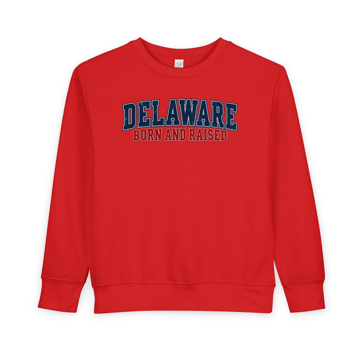 Delaware Born and Raised Vintage Collegiate Unisex Toddler Sweatshirt