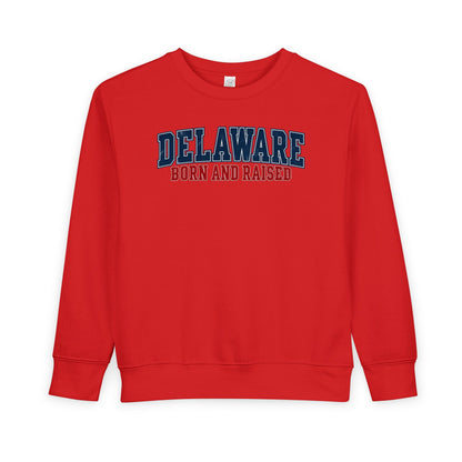 Delaware Born and Raised Vintage Collegiate Unisex Toddler Sweatshirt