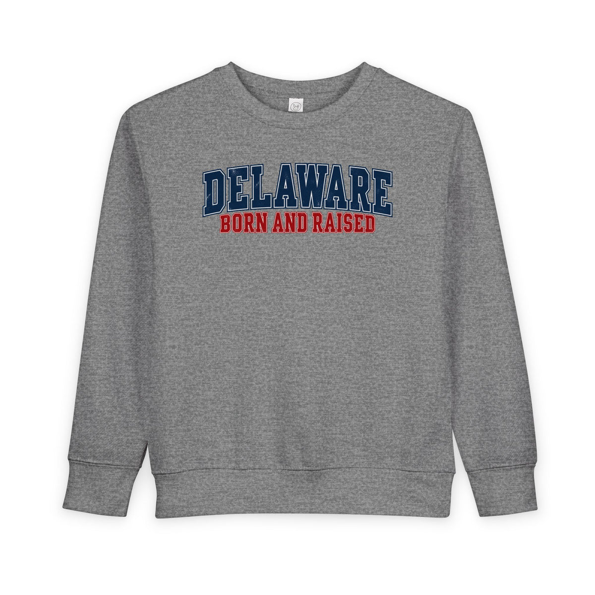 Delaware Born and Raised Vintage Collegiate Unisex Toddler Sweatshirt