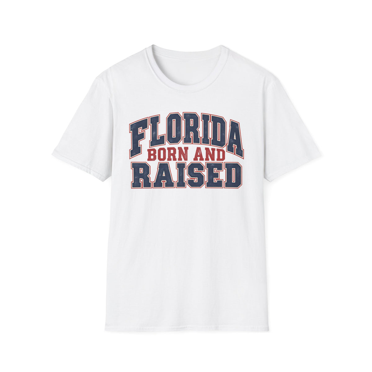 Florida Born and Raised Unisex Softstyle T Shirt State Name Graphic Tee