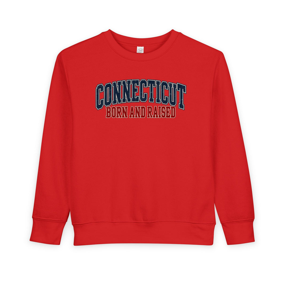 Connecticut Born and Raised Retro Collegiate Unisex Toddler Sweatshirt