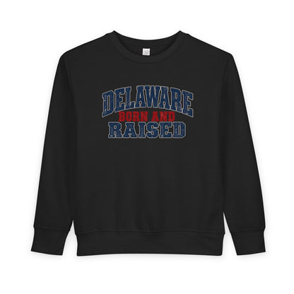 Delaware Born and Raised Rustic Heritage Unisex Toddler Sweatshirt